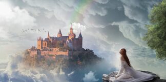 Ile pali Citroen c5?