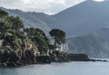 Ile kosztuje nowy Peugeot 206?