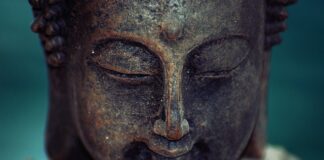 Ile Budda wydał na samochody?