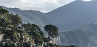 Ile kosztuje 911 GT3 RS?