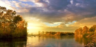 Ile kilometrów wytrzymuje koło dwumasowe?