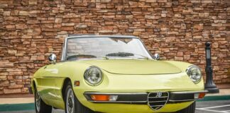 Co oznacza znak Alfa Romeo?