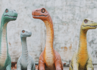 Karty pracy do druku